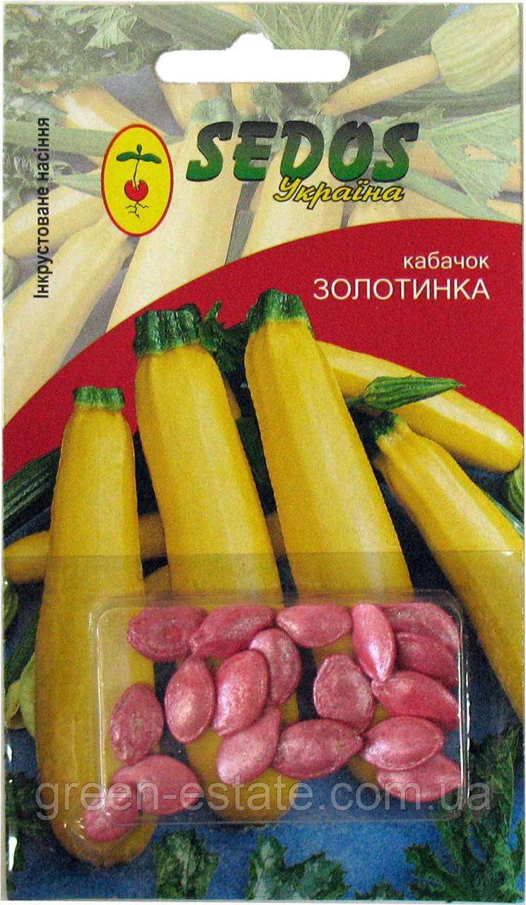 Кабачок Золотинка
