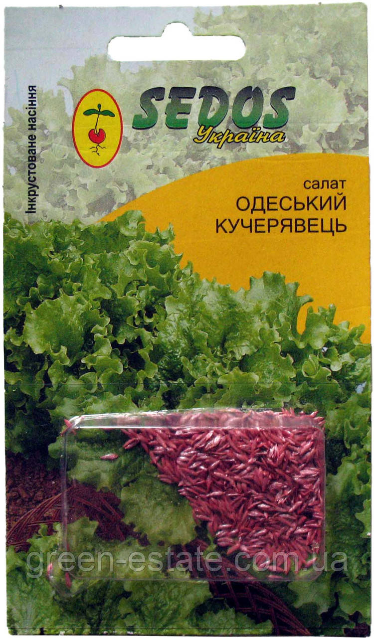 Насіння салату " Одеський кучерявец