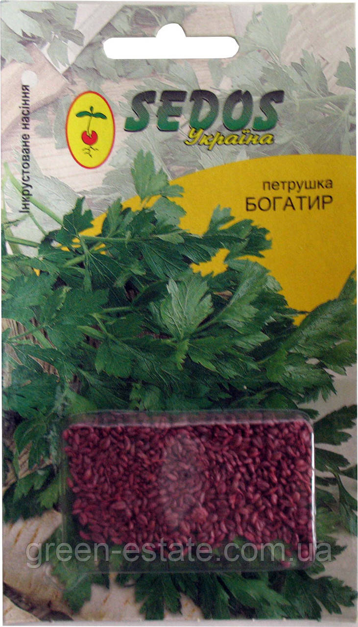 Насіння петрушки Богатир