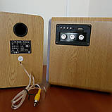 Акустика комп'ютерна USB AL-229, фото 6