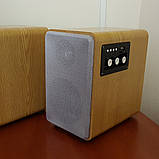 Акустика комп'ютерна USB AL-229, фото 2