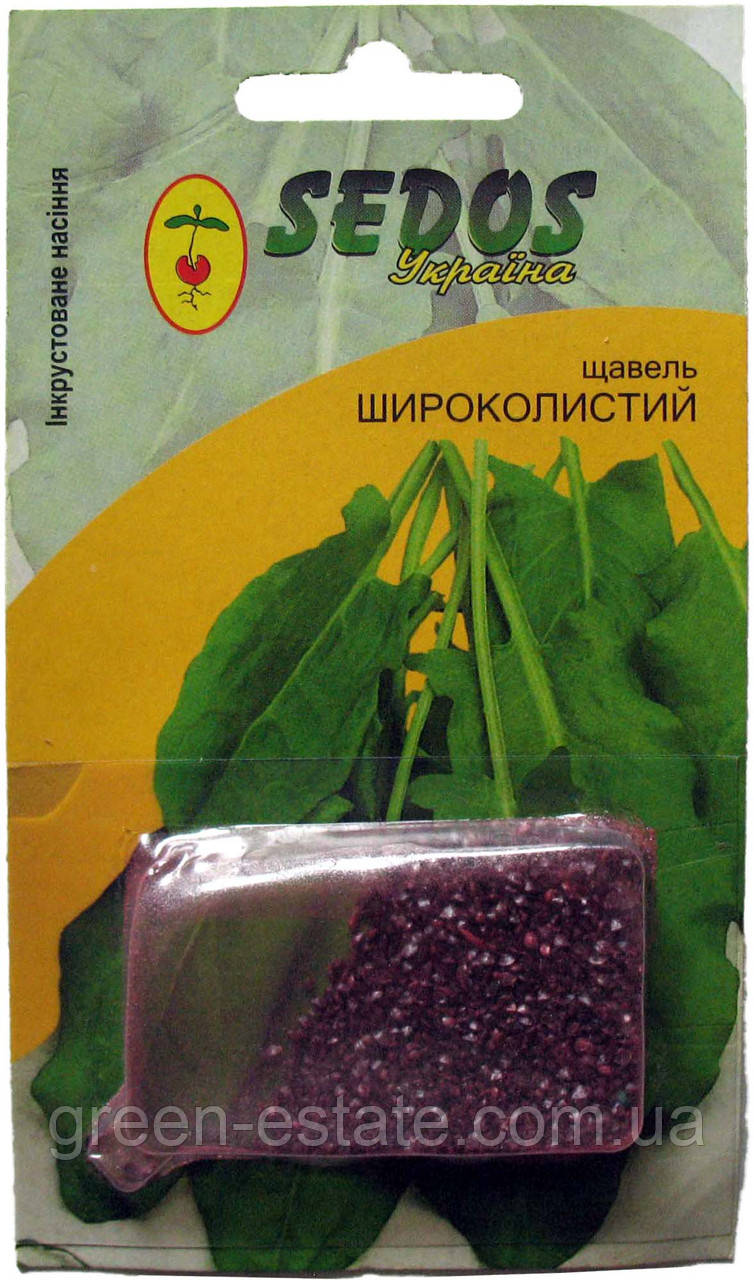 Насіння щавель Широколистий