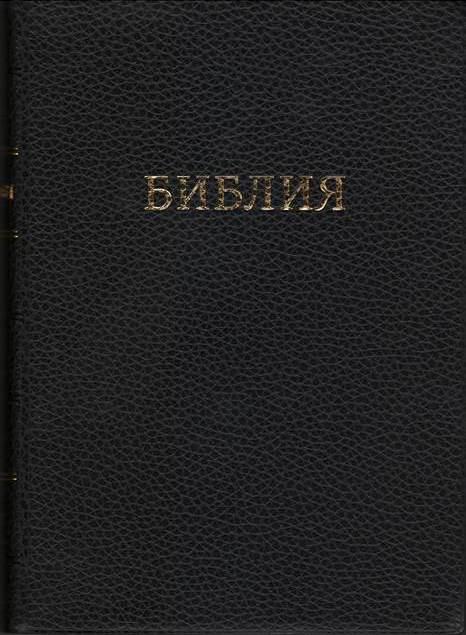 Біблія 073 вініл, м'яка обкладинка розмір 16.5 х 23.5 см. (артикул 1172) / російською мовою