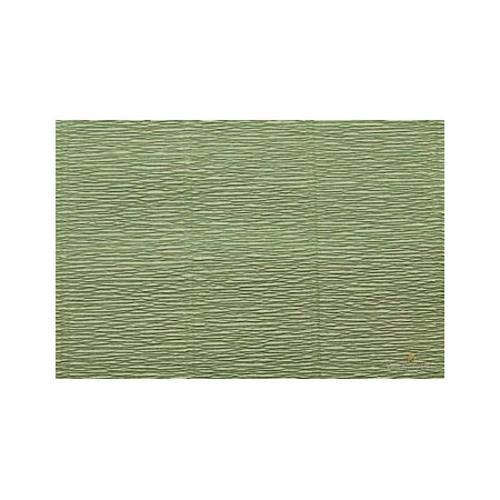 Кріп Cartotecnica Rossi 17A8 50*250 см 144 г/м2 Olive Green by Tiffanie Turner зелений