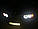 Ангельські оченята CCFL на BMW Е53 Білі, фото 4