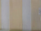 Ролета тканинна / рулонні штори День-Ніч 110 /160, фото 5