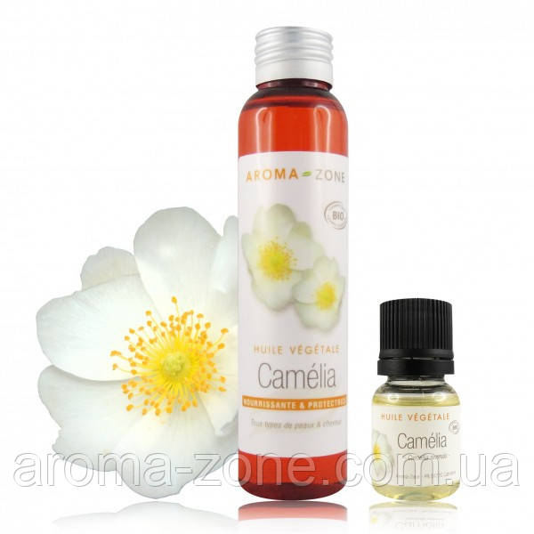 Рослинна олія Камелія (Camelia sinensis) 100 мл