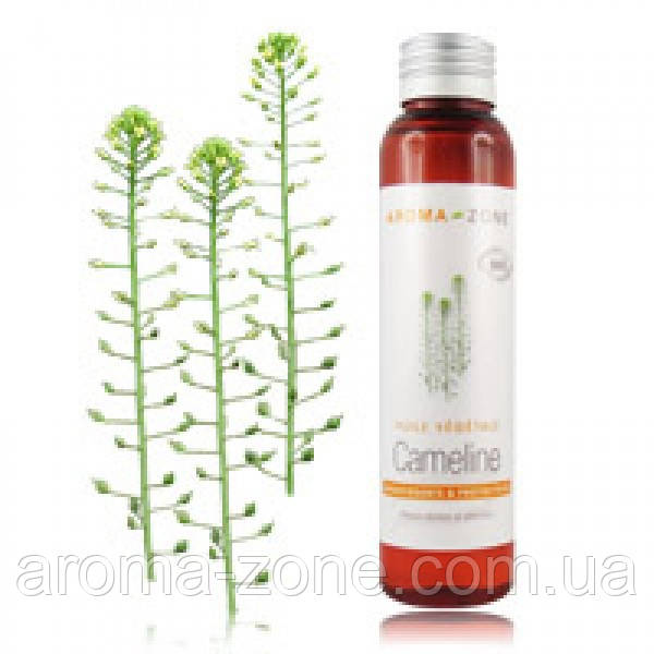 Рослинна олія Рослинна олія Рудичка посівного (Camelina sativa) 100 мл