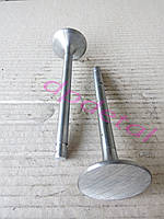 Клапан впускний МТЗ 240-1007014-Б (Д-240)