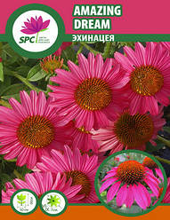 Ехінацея Amazing Dream