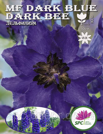 Дельфініум MF Dark Blue Dark Bee, фото 2