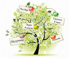 Саджанці плодових дерев