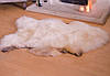 Шкура овеча натуральна "ексклюзив", колір кава з молоком 110х65, фото 2