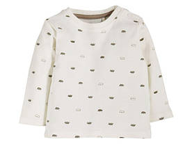 Реглан для хлопчика Lupilu р.62/68см