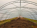 Теплиця фермерська "Фермер" 8х100 під один шар плівки, фото 4