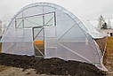 Теплиця фермерська "Фермер" 8х100 під один шар плівки, фото 6