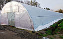 Теплиця фермерська "Фермер" 8х100 під один шар плівки, фото 8