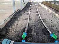 Як правильно підібрати крапельний полив