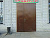 Двері вхідні (2ств), Д-310, фото 4