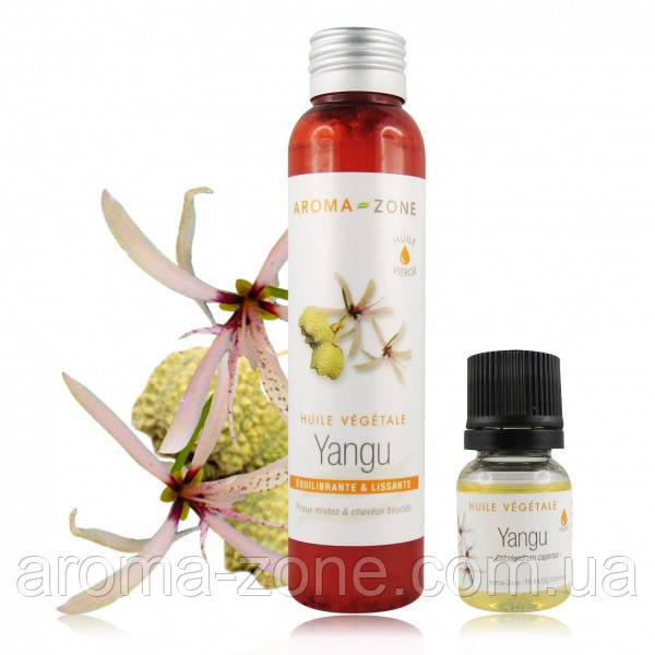 Рослинна олія YANGU Янг (Calodendrum capense)