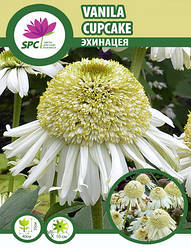 Ехінацея Vanila Cupcake