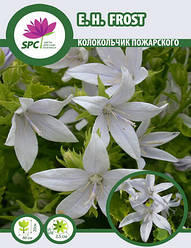 Дзвіночок Пожарського E. H. Frost