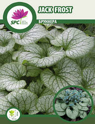 Бруннера Jack Frost