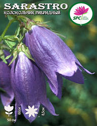 Дзвіночок точковий Sarastro