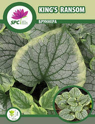 Брунера King's Ransom