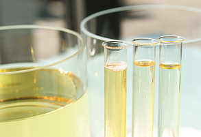 Метилові ефіри жирних кислот (МЕЖК, Methyl Esters of Fatty Acids)