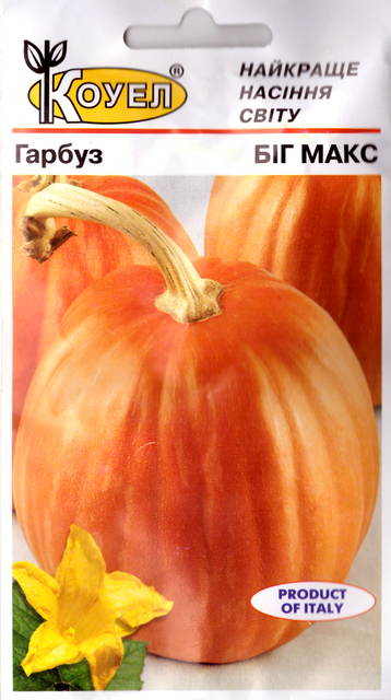 ТМ КОУЕЛ Гарбуз Біг Макс 10шт