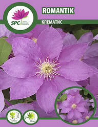 Клематис Romantik