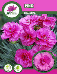 Гвоздика Double Pink