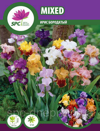 Ірис бородатий(суміш), фото 1