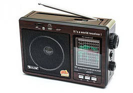 Портативна акустична система радіоприймач GOLON RX-9966UAR