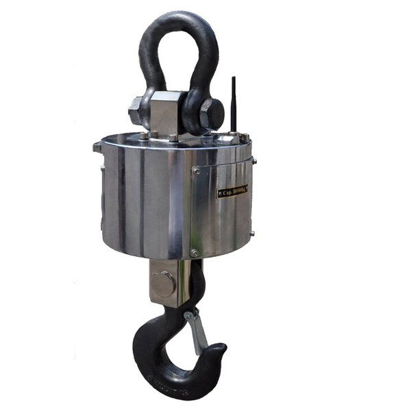 Ваги кранові ВК ЗЕВС IV-20000-РК, фото 1