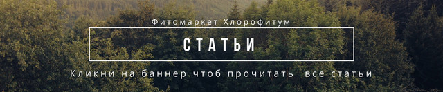 Статті