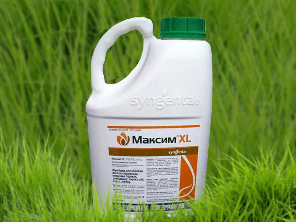 Протруйник Максим XL 035 FS для сої, соняшнику, кукурудзи, гороху, парсу, цукрових буряків