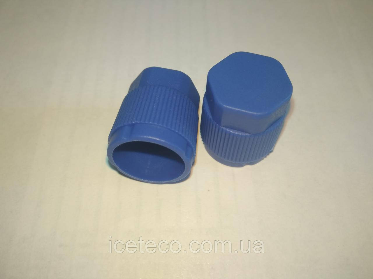 Заглушка пластикова синя LP M9 x 1 Gamela 22613, фото 1