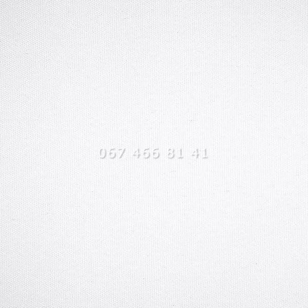 Тканинні ролети Berlin T White 0150