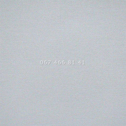 Тканинні ролети A Maxi Grey, фото 1