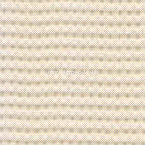Тканинні ролети Screen White-Beige 02