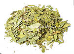 Сенна листя 100 грамів (Cassia angustifolia, folium Senna)