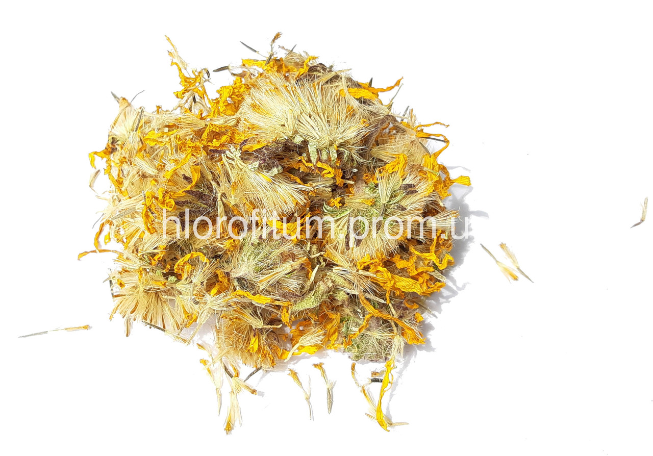 Арника горная цветы 50 грамм (Карпаты) - фото 5 - id-p16292645