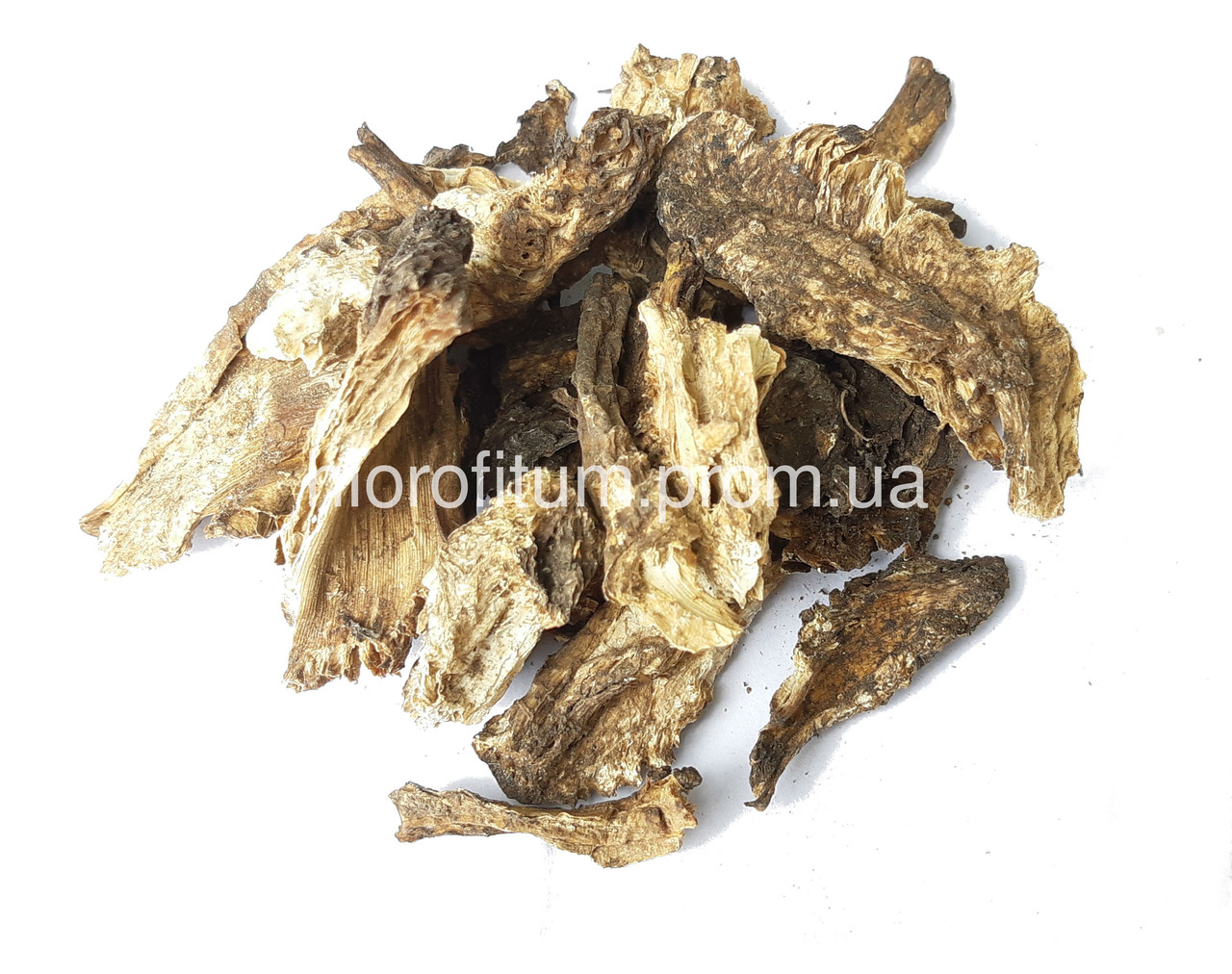 Дягель  лікарський корінь 100 грамів (Angelica archangelica)