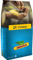 Насіння Рапса ДК Секур " DK Secure" ( Dekalb) 