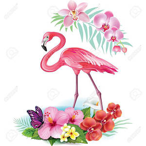 ФЛАМІНГО (flamingo)