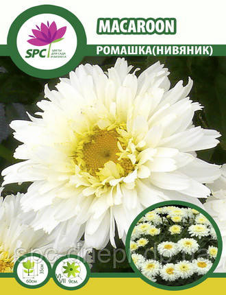 Королицю Macaroon, фото 2