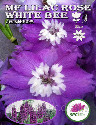 Дельфініум MF Lilac Rose White Bee, фото 2