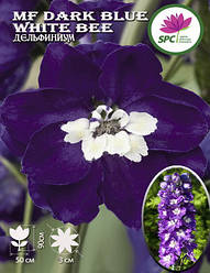 Дельфініум MF Dark Blue White Bee